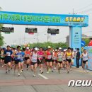 세종제1야구장 이미지