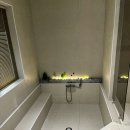 풀스테이스테이펫홍천 이미지