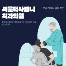 분당지세븐치과의원 | 분당/판교치과에서 사랑니 뽑고 왔어요 내돈내산
