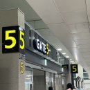 보람렌트카 이미지