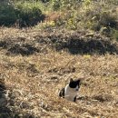 학산우체국 | 대명절 생일주간 입니다