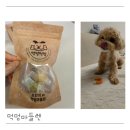 강아지빵 | 강아지수제간식 먹멍먹멍 강아지 마들렌 빵 강아지쿠키 후기