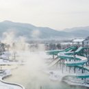 부곡유황온천(원탕) 이미지