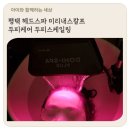 미리내미용실 | 평택 헤드스파 미리내스칼프 두피케어 두피스케일링