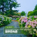 책과 사람이 함께 즐거운 무더위사냥 | 제주 아이와 가볼 만한 곳 제주민속촌 - 수국축제와 도민 할인 팁 총정리