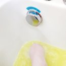 누렁이도 찰스로 애견샵 이미지