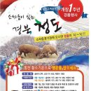 청도소싸움경기장 이미지