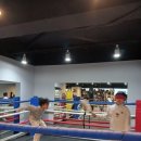 포항프라임복싱클럽 | 해운대복싱 아시아복싱클럽! 아이의 용기와 자신감을 키워준 최고의 선택!