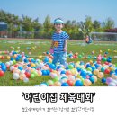 즐거운어린이집 | 24개월 너무나 즐거운 어린이집 체육대회 후기 feat. 고양종합운동장 보조경기장