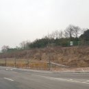 태평 행정사 사무소 이미지