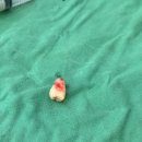 사랑니를부탁해구강악안면외과치과의원 이미지