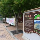 고성농요전수교육관 티스토리