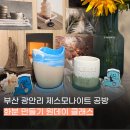 연세인테리어프린팅 | 부산 광안리 제스모나이트 공방 나만의 화분 만들기 원데이클래스