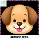 왓숑 | 감삼동 애견카페 왓숑프리제 가격 및 후기 추천 리뷰 주차 예약 알아볼까요