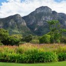 케이프타운 이미지