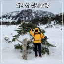 달리오름 | 한라산 윗세오름 등산 어리목탐방로 소요시간 나홀로 제주도 겨울 산행