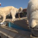 금순이농장 이미지