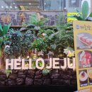 제줏간의정부역점