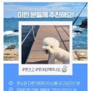 108-2-000012 | 겨울 반려견 동반 패키지 여행, 가볍게 떠나는 펫츠고