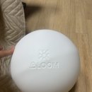 스위트빈 - 부천시 원미구 송내대로 239 | 홈트 입문자를 위한 필라테스볼 20cm 추천, 스위트빈블룸 사용후기