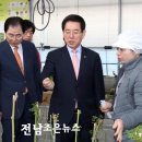 법인해남미소 이미지
