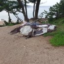 푸른별주유소