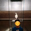 꽃길 농장 | [부여 서울농장] 백제의 찬란한 유산 '백제금동대향로' 직관 &amp; 상큼한 부여 딸기 케이크 만들기 체험