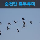 두루미컷 이미지