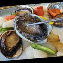 큰갯물바다 이미지