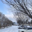 24. 01.07 지리산 바래봉 산행 일지