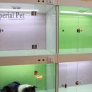 임피리얼펫 이미지