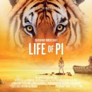 ＜라이프 오브 파이＞ (Life of Pi 2012) 미국 | 드라마,어드벤처 | 감독 : 이안 | 배우 : 수라즈 샤르마, 이르판 칸 . 이미지