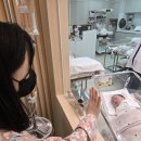 모자백반 | [모유 수유] 혼합수유에서 완모로 간 후기
