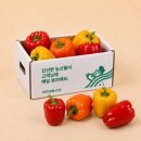파프리카