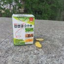 ㈜퓨어네이처 | 은행잎추출물 징코 혈액순환 기억력까지 플러스