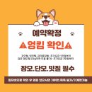 깔끔하개 이미지