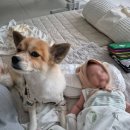 아이본약국 이미지