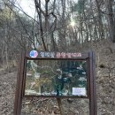 신라샘1 네이버블로그