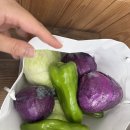고봉민김밥수원아주대삼거리점 | 놀아도 또 놀고 싶은 뽀로로의 주간일기