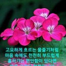 "남기인 (사)경기도사립유치원연합회 회장 취임식에 참석" 이미지