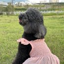 우리옷아라 네이버블로그