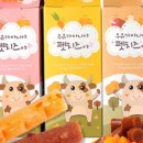 치즈펫 이미지
