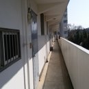 의료원로 이미지