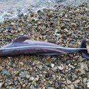 진해구 ⓒ-24 이미지