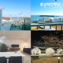 충남 태안 오션뷰 펜션 [스테이무요일] 풀빌라 감성 숙소 / 내돈내산 솔직 후기