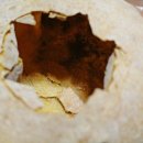산동만두 - 마포구 도화길 22-10 | 산동만두