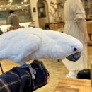 리프패럿시민공원점 이미지