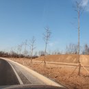 내포주유소 이미지