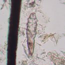 신세계동물의료센터 이미지