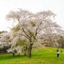 아라메길(2) 이미지